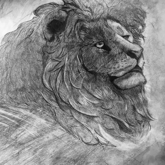 Drawings - Picture 3 of 4